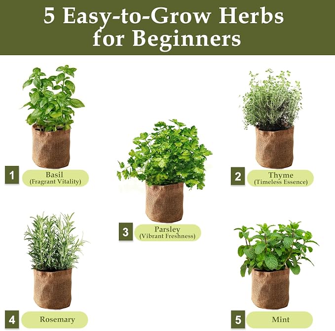 5 Herb Garden Planter Indoor - Image 2
