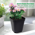 Square Nursery pots 4 Inches 60Pcs, Seedling Plastic Seeds propogation Growing - Image 7