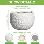 Ceramic Plant Pot - Image 2