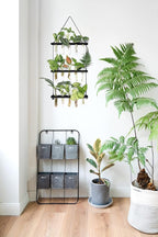 Mkono 3 Tiered Wall Hanging Plant Terrarium - Image 3