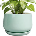 G EPGardening Ceramic Pots for Plants by GEPGardening