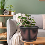 Planter-Pots-for-Plants-Indoor-Outdoor, 4 Pack 10 Inch Plastic Flower Pots - Image 7