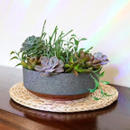 The HC Companies 8 Inch Round Plastic Succulent Capri Bowl 8"x8"x3" in Faux - Image 2
