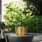 SQOWL Ceramic Planter - Image 4