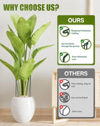 Joyhalo 12 Pack Peony Cages and Supports, 32 Inch Adjustable Plant Stakes - Image 5