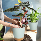 GARDIFE Plant Pots 7/6.5/6/5.5/5 Inch Self Watering Planters - Image 6