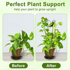 23in Plant Trellis Indoor, Trellis - Image 3