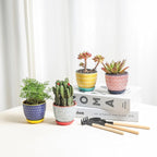 Selamica Ceramic Succulent Pots, 3.5 Inch Small Plant Pots - Image 2
