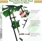 meekoo 30 Pcs Adjustable Garden Plant Support Stakes Single Stem Plant Cage - Image 3