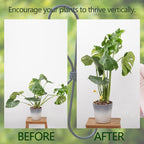 Monstera Plant Stem Support 5 Pcs - Image 3