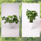 Black Monstera Plant Support Hook - Image 3