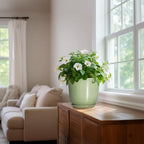 Ceramic Flower Pots - Image 6