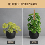 Moss Pole Monstera Plant Support – 2 Pack 28” Bendable Moss Pole Monstera Plant - Image 7