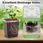 3.3 Inch Clear Nursery Pots - Image 3