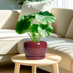 SQOWL Ceramic Planter - Image 2