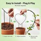 2 Pcs Heart Shaped Plant Trellis Indoor - Image 5