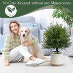 Artificial Topiary Bushes for Outdoors - Image 7
