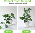 4P Plant Trellis for Potted Plants, Larger 23in Garden Trellis for Climbing - Image 3