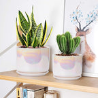 EFISPSS Plant Pots, 4+5+6 Inch Pots - Image 5