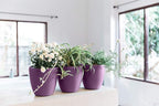 GARDENIX DECOR Self Watering Pots - Image 7
