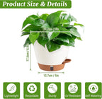 2 Pack 8 Inch Pots for Plants Indoor, Plastic Self Watering Planters - Image 3