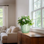 Ceramic Planter - Image 6