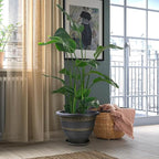 4 Pack 16 Inch Large Plant Pots, Plastic Flower Pot - Image 5