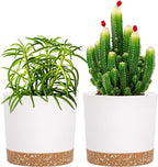 QCQHDU 5 inch Plant Pot, 2 Pack Planters by QCQHDU