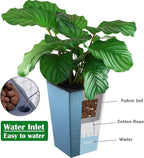 2 Pack Self Watering Planters 10.7" x 6.9" Planter - Image 4