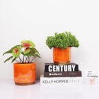 Gepege Ceramic Indoor Pots for Plants, Rainbow Pearl Glaze Planter - Image 5
