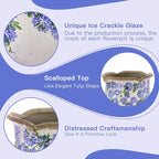 Ceramic-Planters-for-Indoor-Plants - Image 6