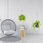 4 Pcs Hanging Plant Extender Macrame Plant Hanger Extender Large Hanging Rope - Image 6
