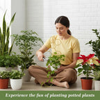 Small Trellis for Potted Plants, 14 Inch Indoor Trellis for Climbing Plants - Image 5
