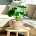 SQOWL Ceramic Planter- 8 Inch Plant Pot Indoor Outdoor, Round Planter - Image 2