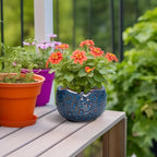 6 Inch Plant Pot - Image 4