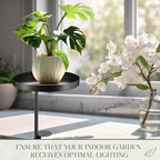 2 Pcs Window Sill Plant Shelf 7.9''D x 14.2''H Adjustable Window Shelf - Image 5