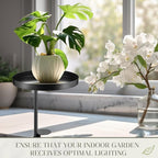 1 Pcs Window Sill Plant Shelf 7.9''D x 14.2''H Adjustable Window Shelf - Image 5