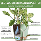 Self Watering Hanging Planters for Indoor Plants 3 Pack Macrame Plant Hangers - Image 3