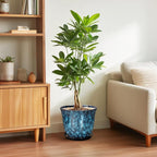 10 Inch Plant Pot - Image 4