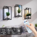 Shineled Wall Plant Holder, Indoor Plants Holders - Image 5