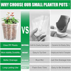 40 Pack 3.3 Inch Clear Nursery Pots - Image 4