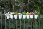 Dahey 10 Pcs Hanging Flower Pots Metal Iron Bucket Planter - Image 4