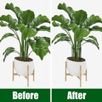 FEED GARDEN 12 Pack Plant Support Stakes, Peony Cages and Supports, Metal - Image 5