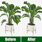 FEED GARDEN 8 Pack Plant Support Stakes, Peony Cages and Supports, Metal Garden - Image 4