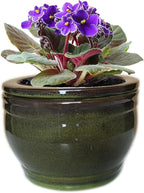 African Violet Pots Self Watering Round Ceramic Violet Pot by Dphagesy