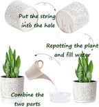 Self Watering Pots for Indoor Plants, 6 & 5 & 4 Inch Stylish Flower Pots - Image 7