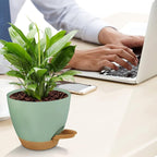 Self Watering Planters with Drainage Holes Reservoir, Nursery Planting Pot - Image 2