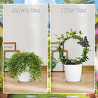 3Pack Trellis for Climbing Plants Indoor, Rust-Proof Trellis for Indoor Potted - Image 3