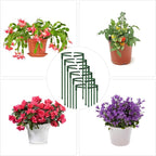 12Packs Plant Support Stakes Half Round Plant Stakes - Image 5