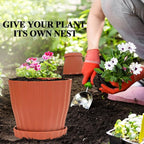 Plastic Flower Pots, 5 Pack 6 inch Indoor Plant Pots Planters - Image 6